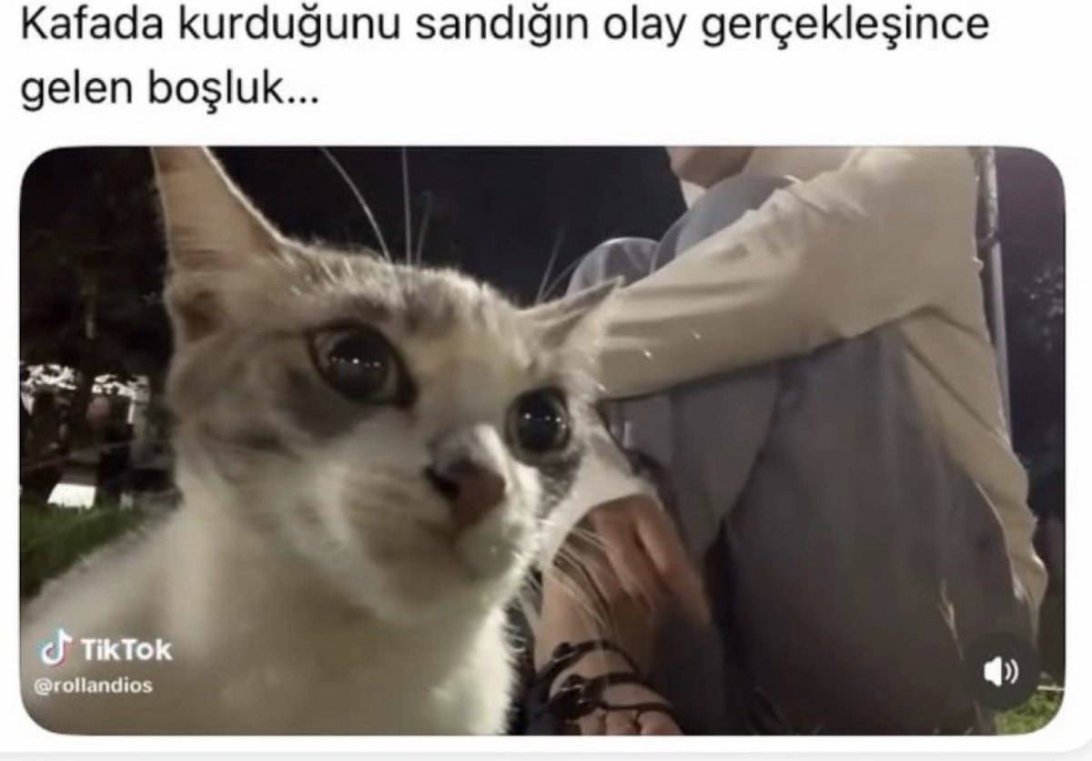 sevde_grnl's tweet photo. https://t.co/pdvzD3Oip1