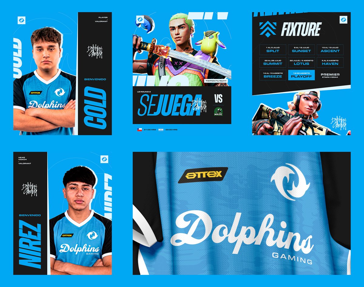 ebesaez's tweet photo. Recent design work  x @DGaming_org 🐬 https://t.co/WcfhFpSRhk