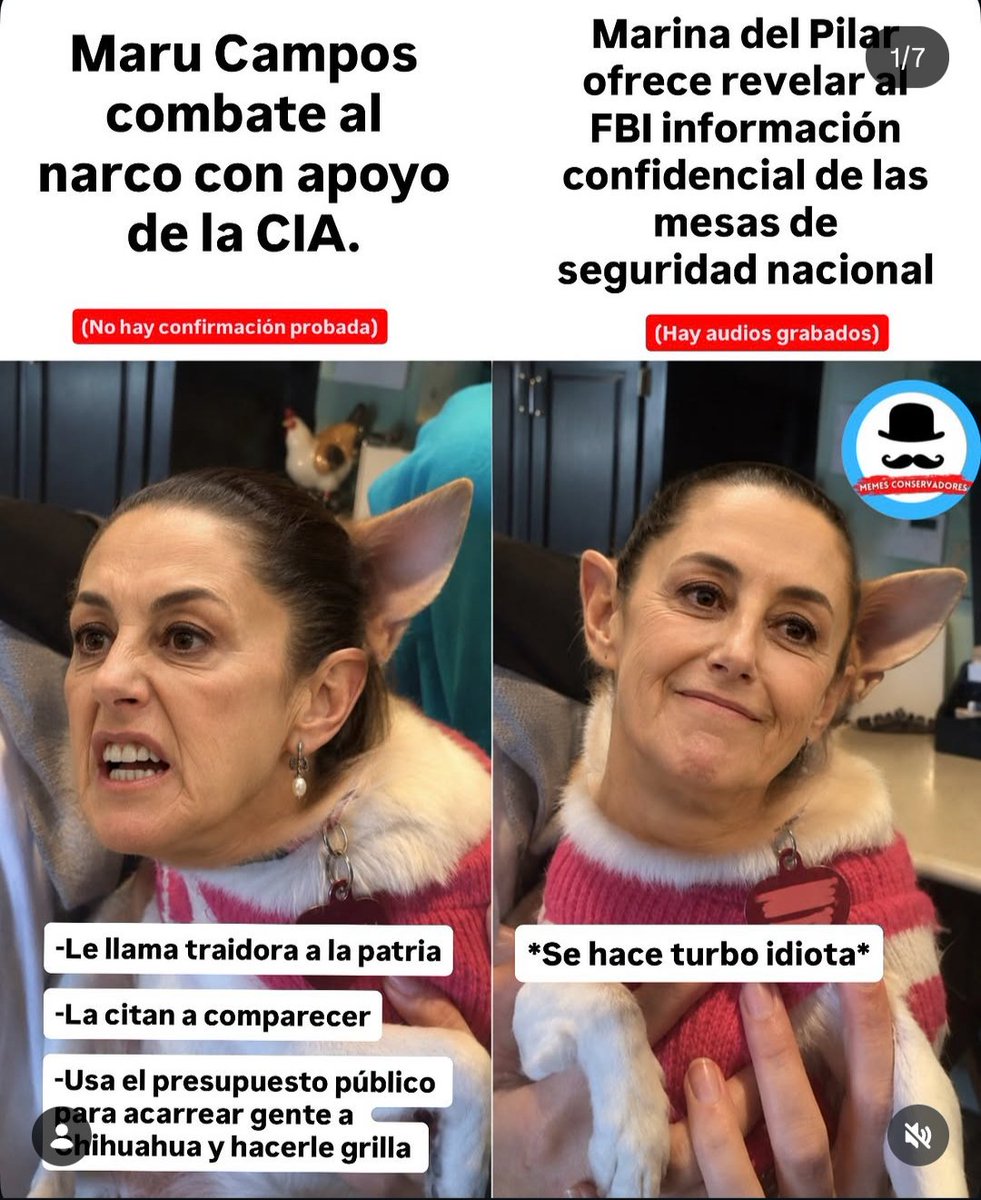 info_x01's tweet photo. @sfmarco01 @AmerangelLorenz @DonRoberTJ @Claudiashein @MarinadelPilar https://t.co/ksh06r87ry