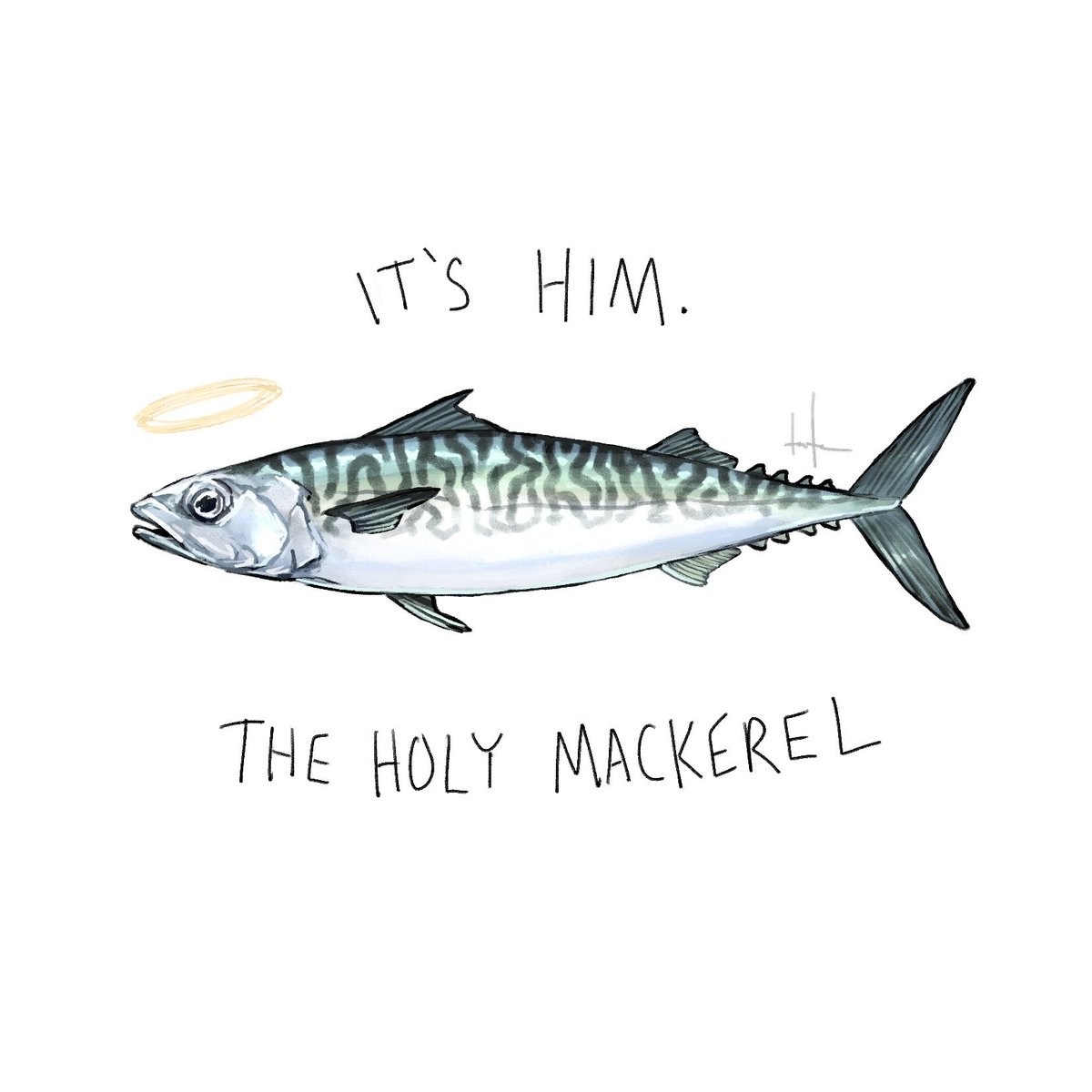 frozenjaegert's tweet photo. I love the patterns on atlantic mackerel #fish https://t.co/ep2FAvWges