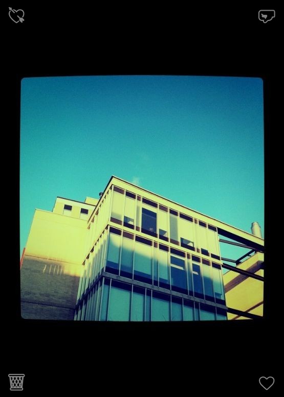 avigite8's tweet photo. 当幸福降临时，请尽情享受。早餐后，他们来到花园，Lila 正拿着一包向日葵种子在那里等待。“我们今天能种下这些吗？”她眼神明亮地问道。Clara 和 Ethan 点了点头，于是他们用整个上午的时间种下了向日葵，Lila 也在一旁帮忙。 https://t.co/Zx0Y63xGVc