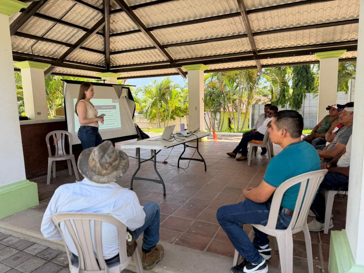 MagaGuatemala's tweet photo. #ElProgreso | Un grupo de 35 productores del departamento fortalecieron sus conocimientos en marketing digital para promocionar sus productos, llegar a más clientes y abrir nuevas oportunidades de comercialización, brindado por la #DIFOPROCO del #VIDER.
Los participantes aprendieron sobre herramientas para impulsar sus ventas mediante redes sociales, contenido promocional y páginas web. El uso de estas herramientas les permitirá dar mayor visibilidad a sus productos, fortalecer la comercialización asociativa y mejorar su competitividad en el mercado.