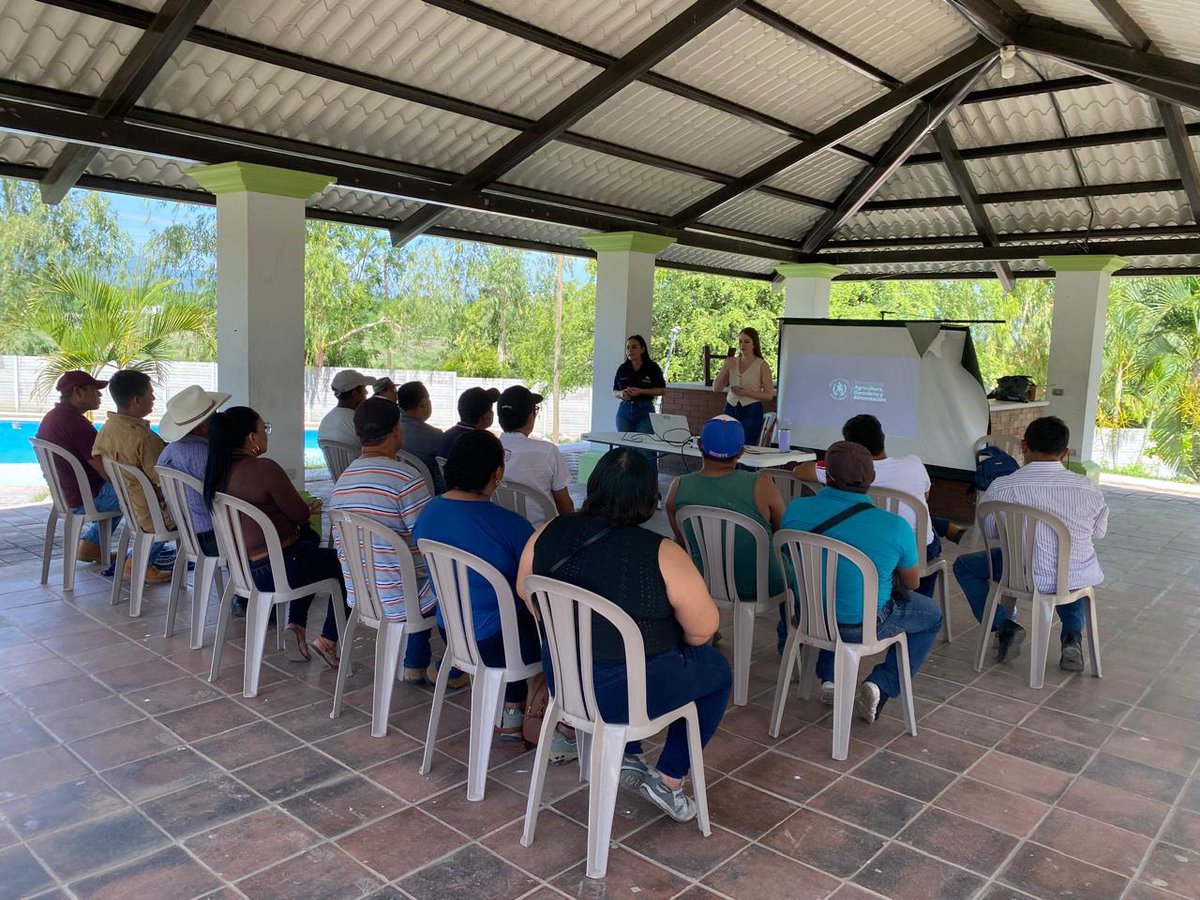 MagaGuatemala's tweet photo. #ElProgreso | Un grupo de 35 productores del departamento fortalecieron sus conocimientos en marketing digital para promocionar sus productos, llegar a más clientes y abrir nuevas oportunidades de comercialización, brindado por la #DIFOPROCO del #VIDER.
Los participantes aprendieron sobre herramientas para impulsar sus ventas mediante redes sociales, contenido promocional y páginas web. El uso de estas herramientas les permitirá dar mayor visibilidad a sus productos, fortalecer la comercialización asociativa y mejorar su competitividad en el mercado.