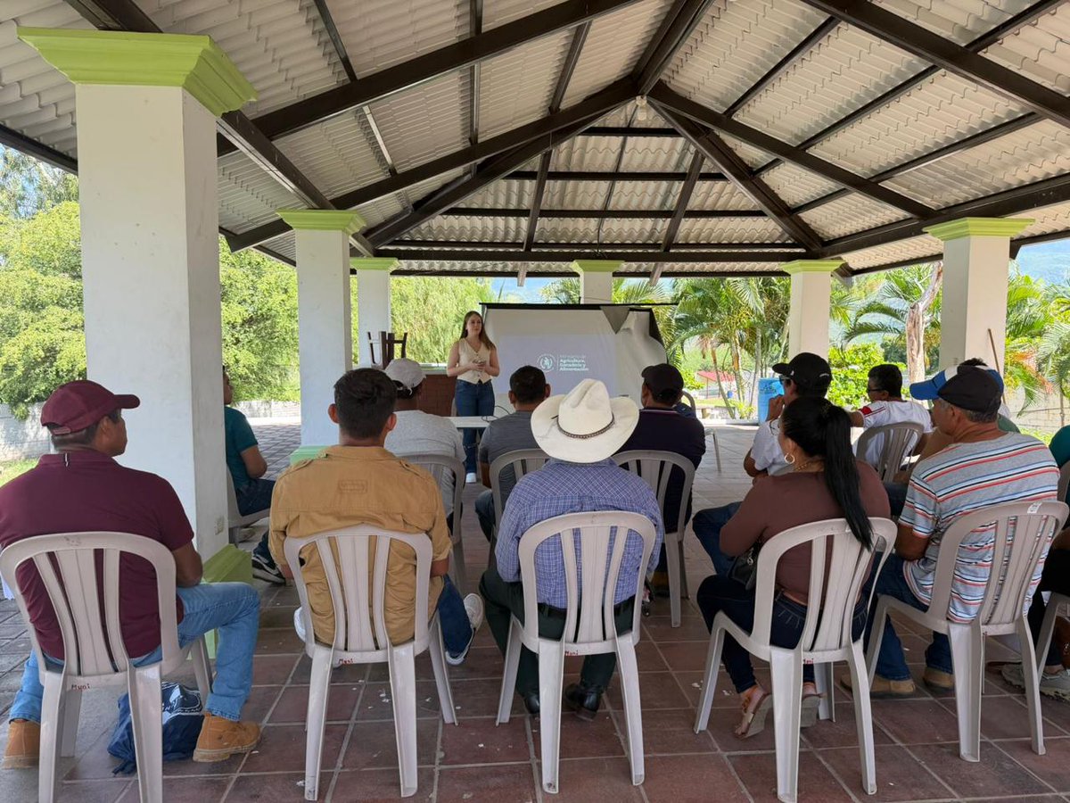 MagaGuatemala's tweet photo. #ElProgreso | Un grupo de 35 productores del departamento fortalecieron sus conocimientos en marketing digital para promocionar sus productos, llegar a más clientes y abrir nuevas oportunidades de comercialización, brindado por la #DIFOPROCO del #VIDER.
Los participantes aprendieron sobre herramientas para impulsar sus ventas mediante redes sociales, contenido promocional y páginas web. El uso de estas herramientas les permitirá dar mayor visibilidad a sus productos, fortalecer la comercialización asociativa y mejorar su competitividad en el mercado.