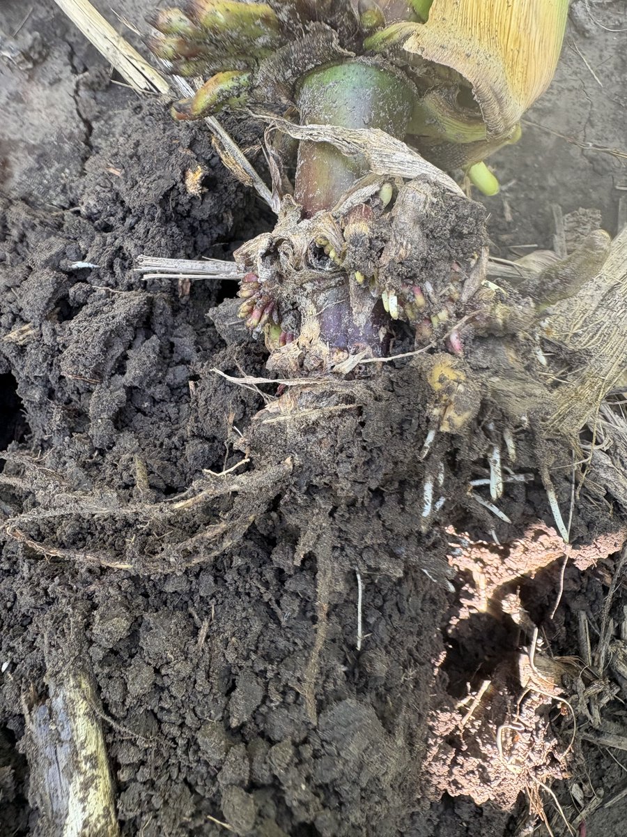 theCropTech tweet picture