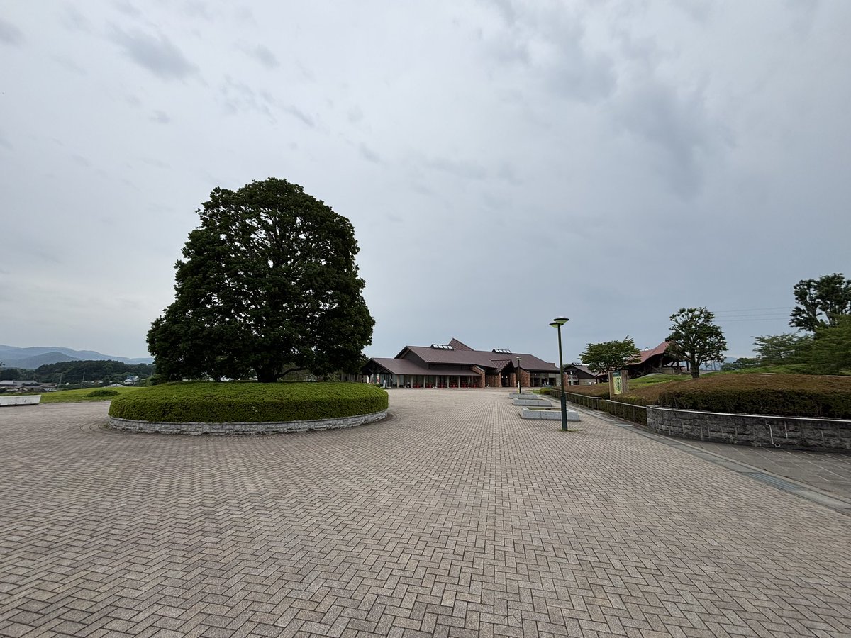 secret_ibaraki tweet picture