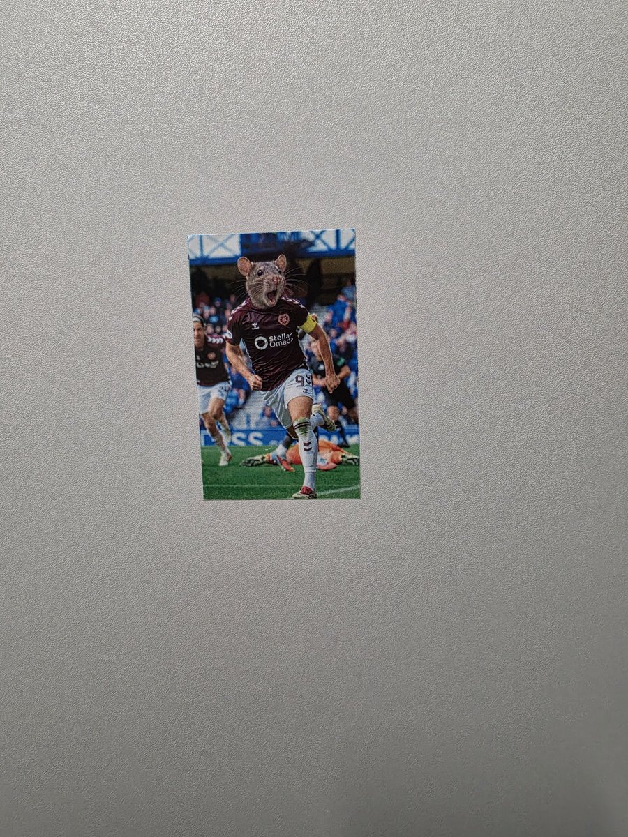 Linzi1810xx's tweet photo. Found this stuck to the wall inside the lassies toilets at tynecastle 😂 had to laugh 👏 https://t.co/NgPRUK3Gv0