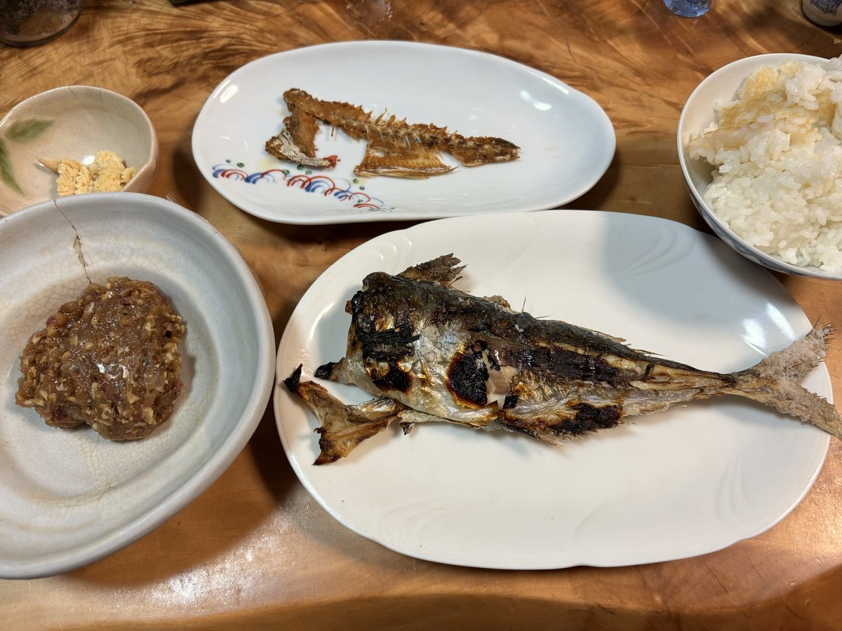 night_willow's tweet photo. 昨日は人生2度目の船釣り！！
アオイソメと戯れたり、友人共々絡まった仕掛けとか戯れたり、エグい日焼けをしたり大忙し。
船で海に出るってだけでこんなに楽しいんだよなぁ！
今回のMVPはサングラスさん。
目の保護をありがとう……！
次はもっと釣れるよね、ハム太郎！
鯵は美味しくいただきました。 https://t.co/XSiKm2iPuY