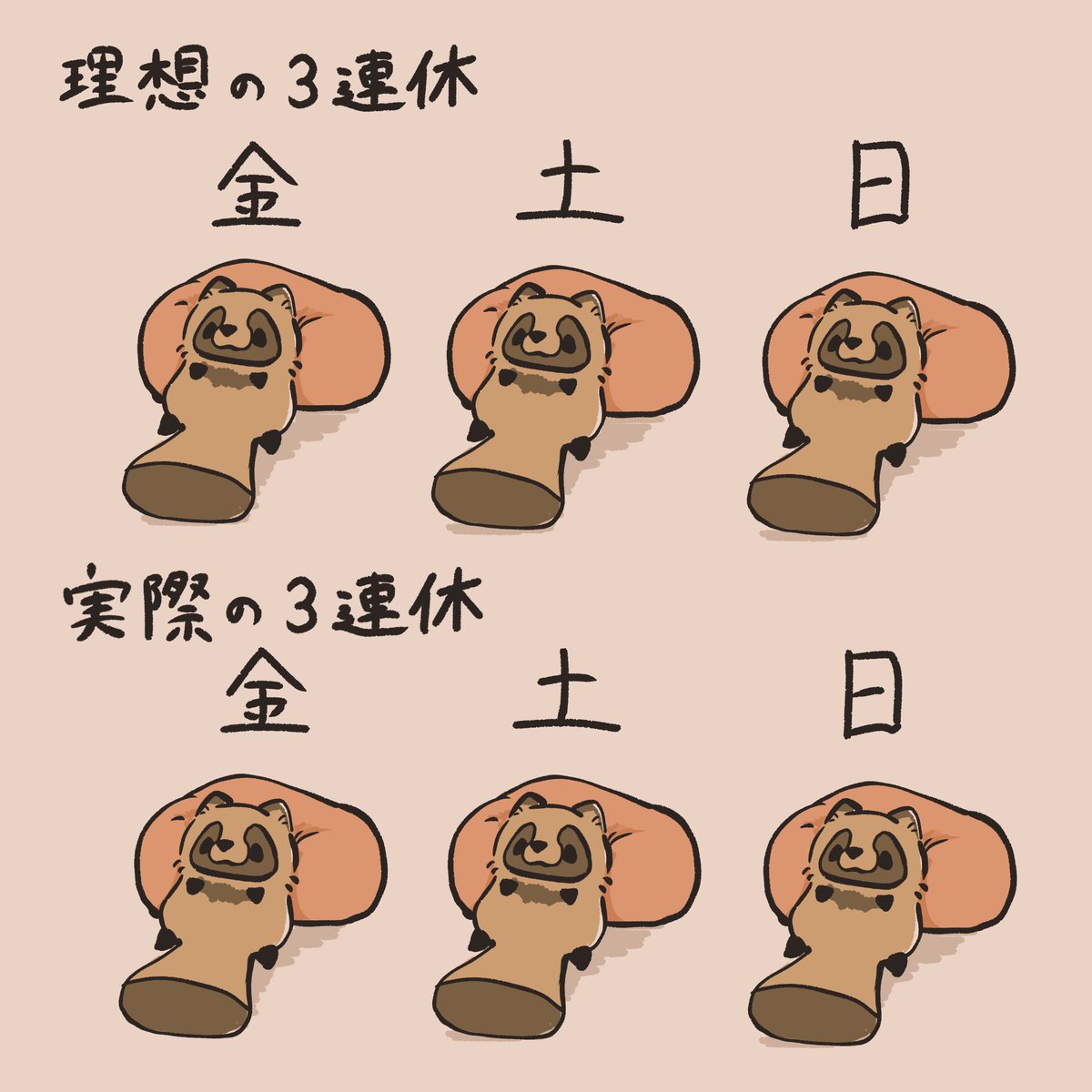 tata01158's tweet photo. ↑理想の三連休
↓実際の三連休

#素朴なたぬき https://t.co/C5MGbXdUzs