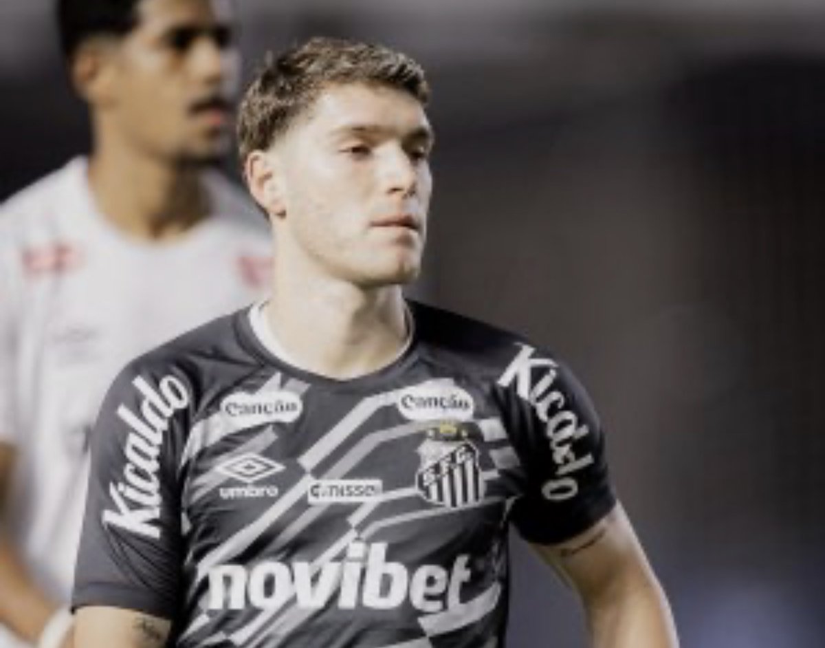 lipaosantosfc tweet picture