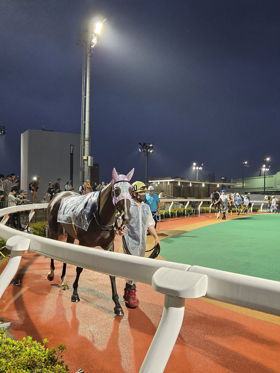 masatakaB34's tweet photo. いつも頑張ってる
ポケットシンデレラちゃん🐴
無事に走りきって安心した💯

#浦和競馬 https://t.co/JV36ENbK7x