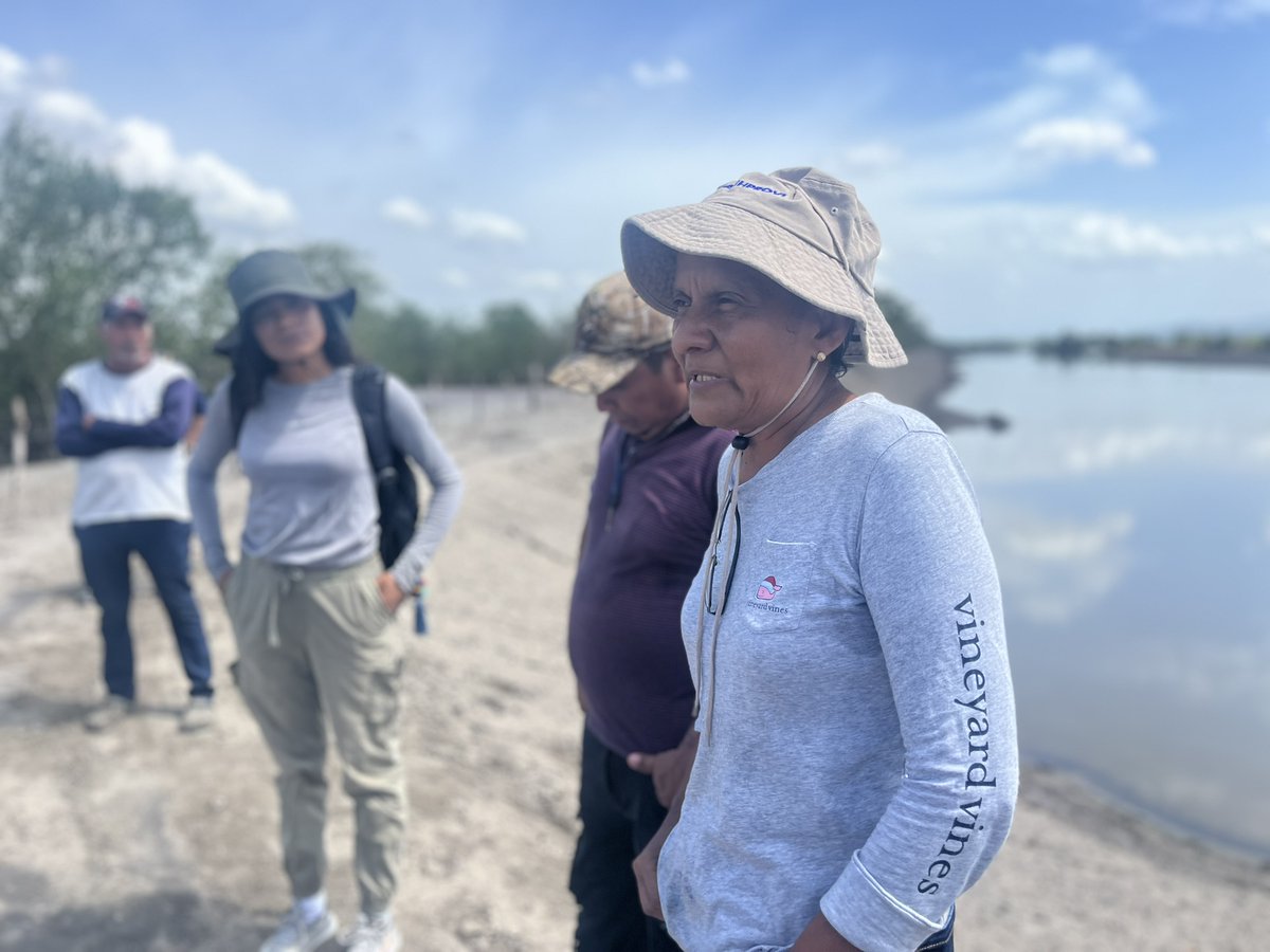 CATIEOficial's tweet photo. 🌿🌎 De México a Ecuador, #ProyectoPARES demuestra que las Soluciones basadas en la Naturaleza fortalecen la resiliencia climática, la seguridad humana y los medios de vida.
🔗 Más información: https://t.co/wdGo2uSleA
#CATIE #PNUMA #EUForeignPolicy #EUClimateSecurity https://t.co/7Pjfqk8hHv