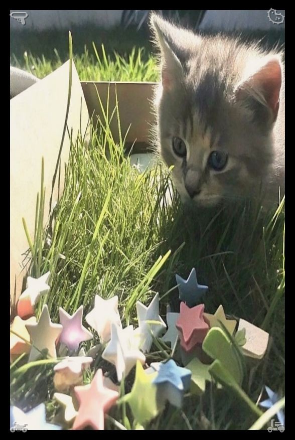 seamon05's tweet photo. Juicy tomato with olive oil763716“Don't worry, Buddy,” she whispered while petting him, “the storm is going to end. I'm by your side and I'll keep you safe.”🗑 https://t.co/dyF8WPkQB6