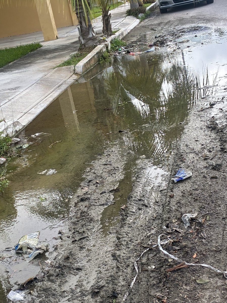PerlaAnaluz's tweet photo. Por favor, ¿cuando podrían atender las más de 15 fugas en la cerrada arboledas Sian Kaan II? 
Ya hay hasta fallas eléctricas. 
Hasta que se electrocute alguien atenderán? @JAPAYOficial @AyuntaMerida @CeciliaPatronL @huachodiazmena @PromotoraResid @bayardodecaucel https://t.co/MhJQr6zOoo