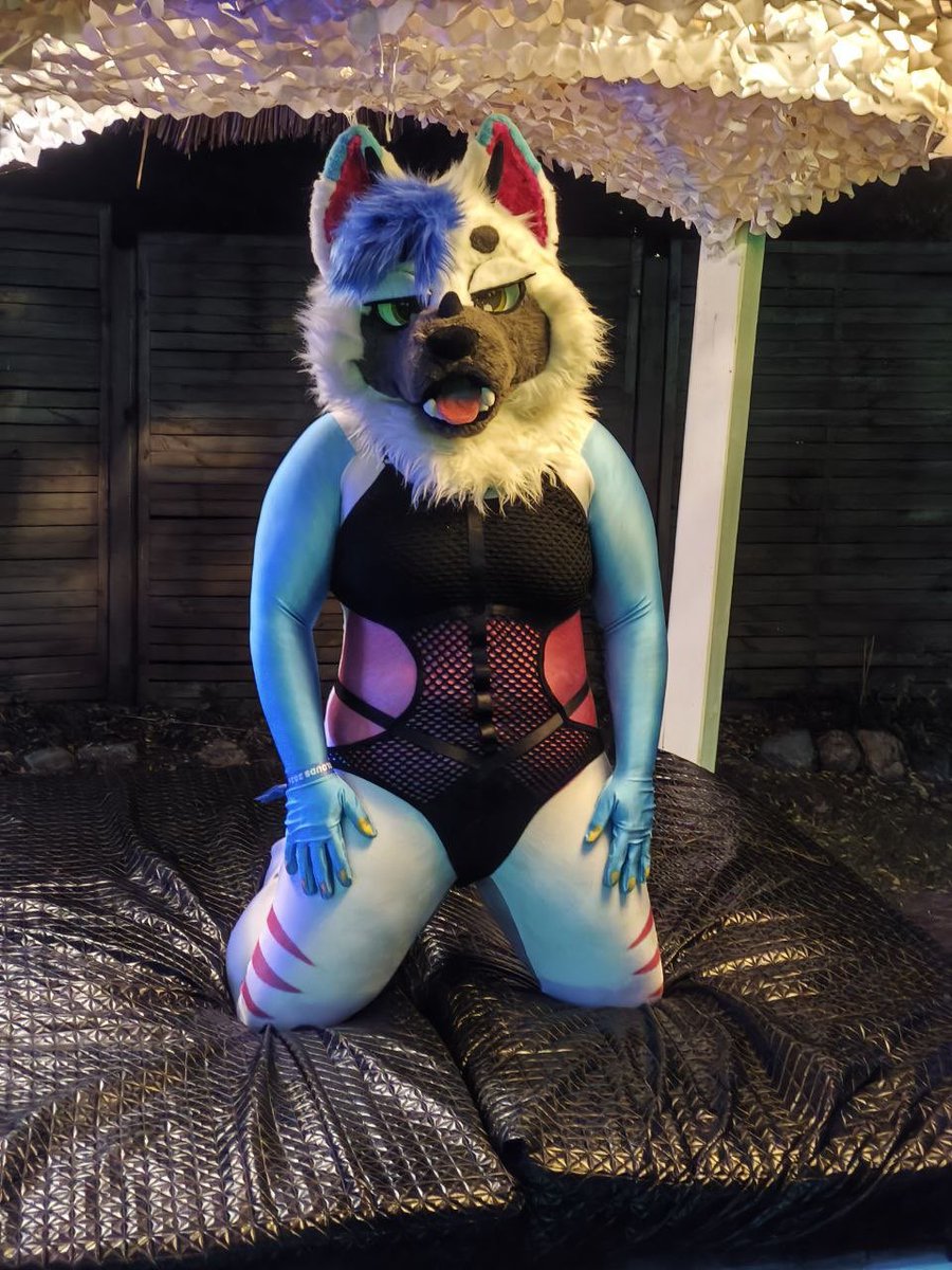 MaxDhusky tweet picture