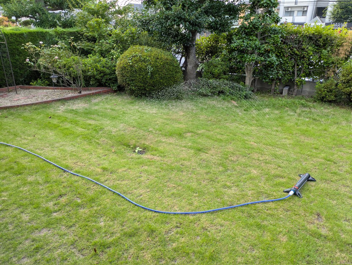 msv_blog's tweet photo. 気候変動の影響なのか雨雲の通り道が変わったようで、昨年あたりから夕立が激減してるので、思い切って散水機を導入。ただ、サイズ感を間違えたようで、全然届いてないですね。買い替えるのもバカバカしいので、2回に分けてやるか。めんどくさいな。 https://t.co/7uydebt2mG