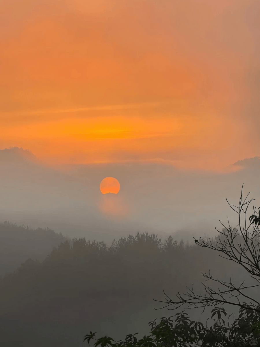limsung55's tweet photo. Woke up to crispy pine air and a sunrise painting the mountain tops today  Nothing beats the quiet magic of camping under the stars. https://t.co/VQ34O9md4W