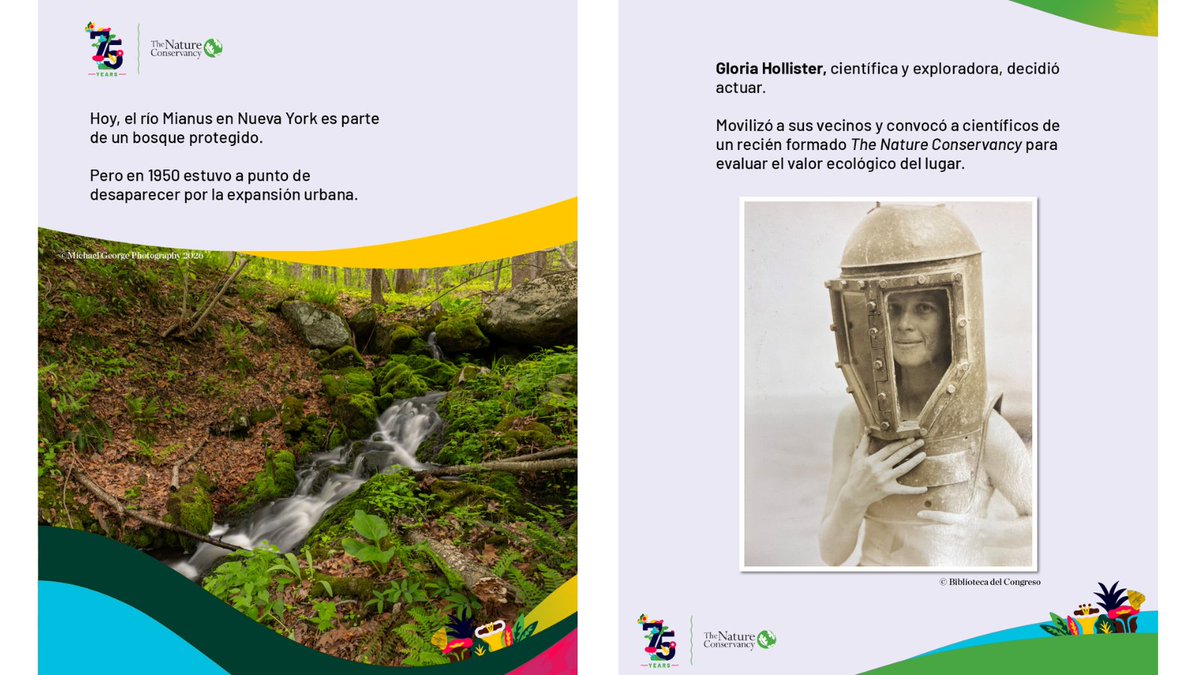 TNCLatinAmerica's tweet photo. Una mujer decidió actuar. Y su comunidad cambió la historia de la conservación.
Lo que comenzó con la protección de 24 hectáreas de un río ayudó a inspirar un modelo que hoy protege más de 50 millones de hectáreas en todo el mundo.
https://t.co/QEhRmEGrB8
#TNC75Años https://t.co/CUvlp1uh68