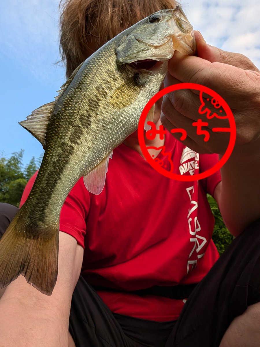 mithy816's tweet photo. おはよー☀🎣おはよー😊
早起きして🎣行ってきたぁ〰️🐟️
#釣り https://t.co/OcFDfENtIm