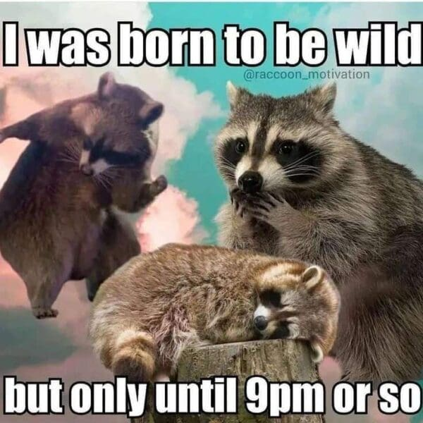 Jimothysol_'s tweet photo. people ask me for financial advice.

i ate a pizza crust i found behind a 7-eleven.
i am not your financial advisor.
i am a raccoon.

solana:Ge87EtsjwRQbHaqQmKRno69RFTwh9bfSsm99XNxTpump https://t.co/JhZnGeUA8a