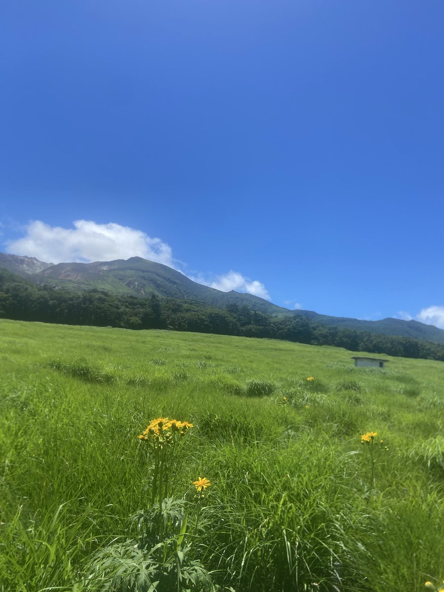 kentokimatu's tweet photo. おはようございます🌞 https://t.co/uDAbf2AQJU