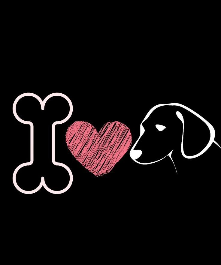 Knottymelly421's tweet photo. Quite a naughty fun time with my pet...
OM!
HMU for full package https://t.co/ZlLYMKzMkv…
#zoophillia #zoosarevalid #beastiality #dogknot #zooprideisvalid #zoophile
#antizoophileantizoo #k9girl
#zoopride
#zoophilepride #zoopositivity
#KnottyDesires
#k9lover
#k9
#bestial
#beast https://t.co/DKzsfubg7G
