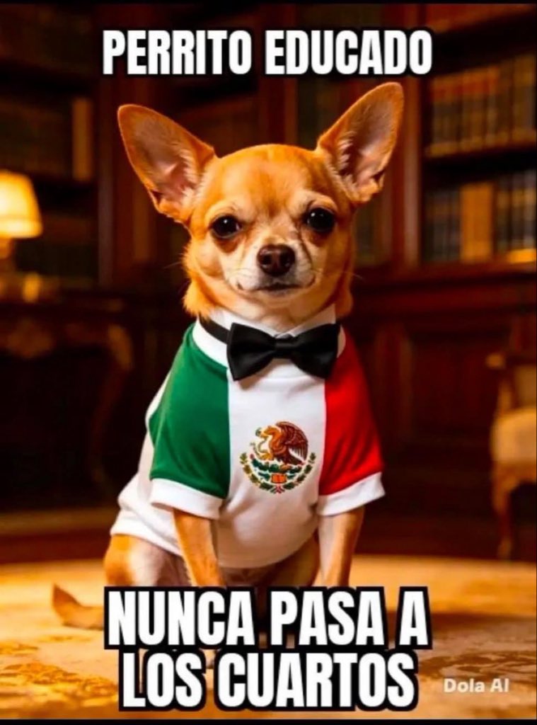 ACucchisi's tweet photo. @guti_arturo @AngelDLaCruz_ https://t.co/KdrUVnamlg