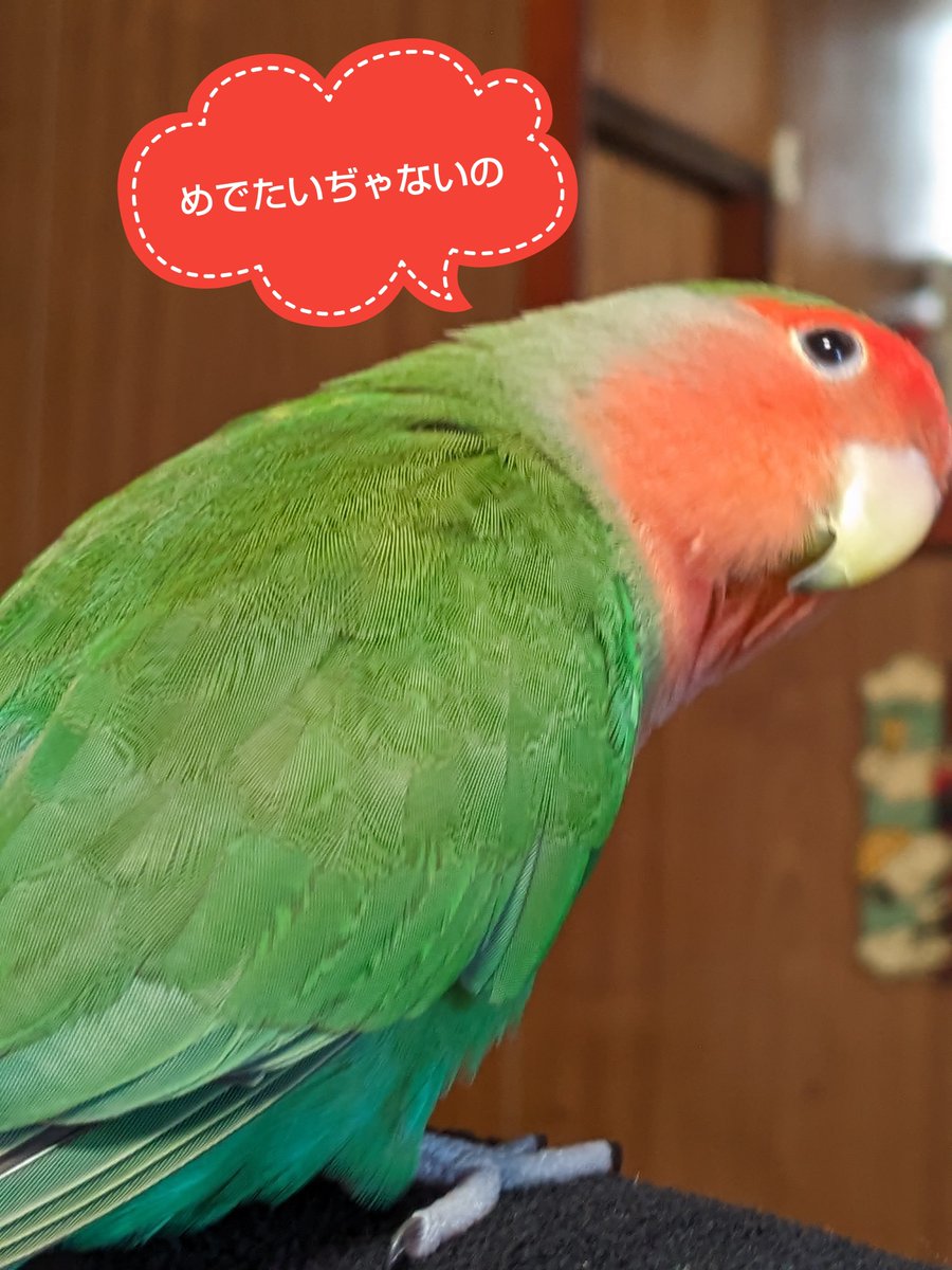ユリアン tweet media
