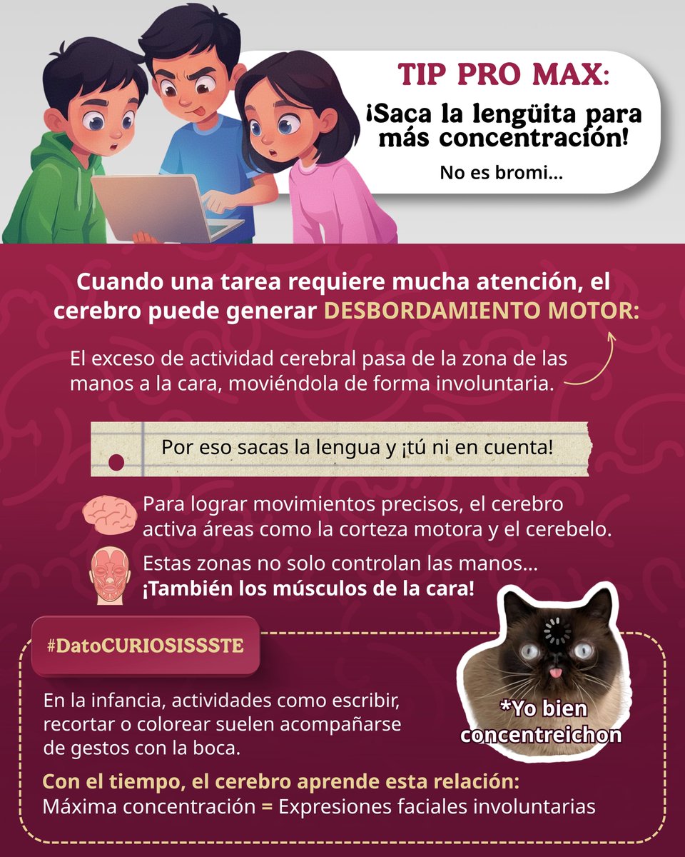 ISSSTE_mx's tweet photo. 🧠 ¡Tu cerebro nunca deja de sorprender! ✨

Cuando el reto mental es alto 🧩, el cerebro “recluta” músculos faciales sin que lo notes. 🤯

👅 Por eso, sacar la lengüita mientras escribes, dibujas o resuelves algo complicado no es una simple manía. 😉 Es una de las curiosas estrategias que utiliza para mantenerse enfocado y afrontar retos que requieren precisión. 🙌

🫢 La próxima vez que te descubras haciendo una mueca de concentración, recuerda: ⚡ Tu mente está trabajando a toda máquina. 😜