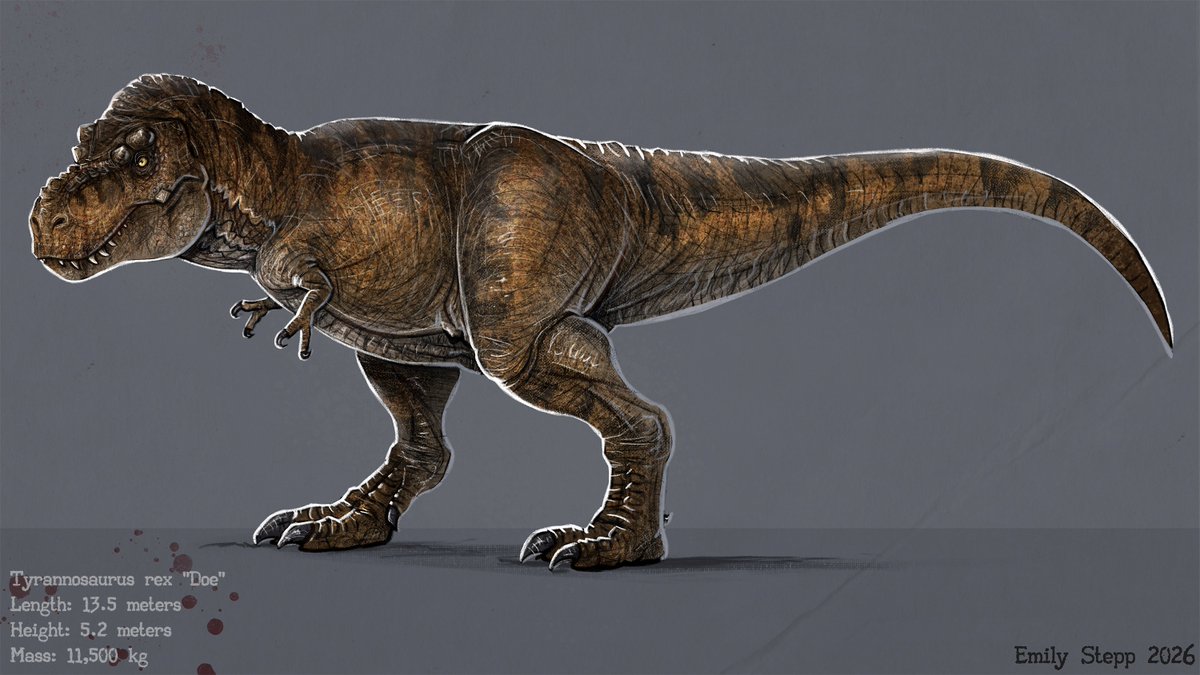 Emily_Art's tweet photo. I've been drawing even more T. rex than usual lately. https://t.co/cPLBW4uMeM