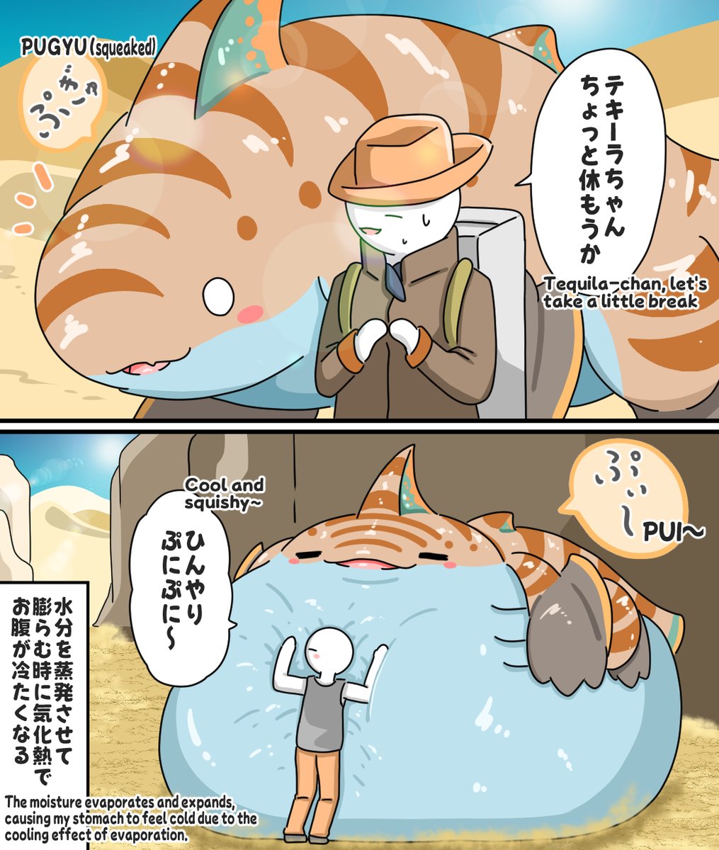 CBomochi's tweet photo. お腹ひんやりテキーラちゃん https://t.co/y3tKiEjoVR