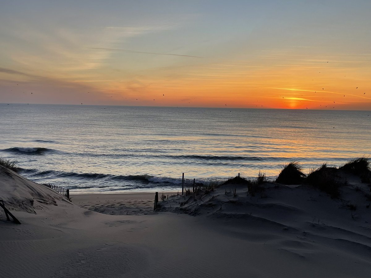 FlyergradNC's tweet photo. @tuuu28283 North Carolina coast https://t.co/fTJPmldCw9