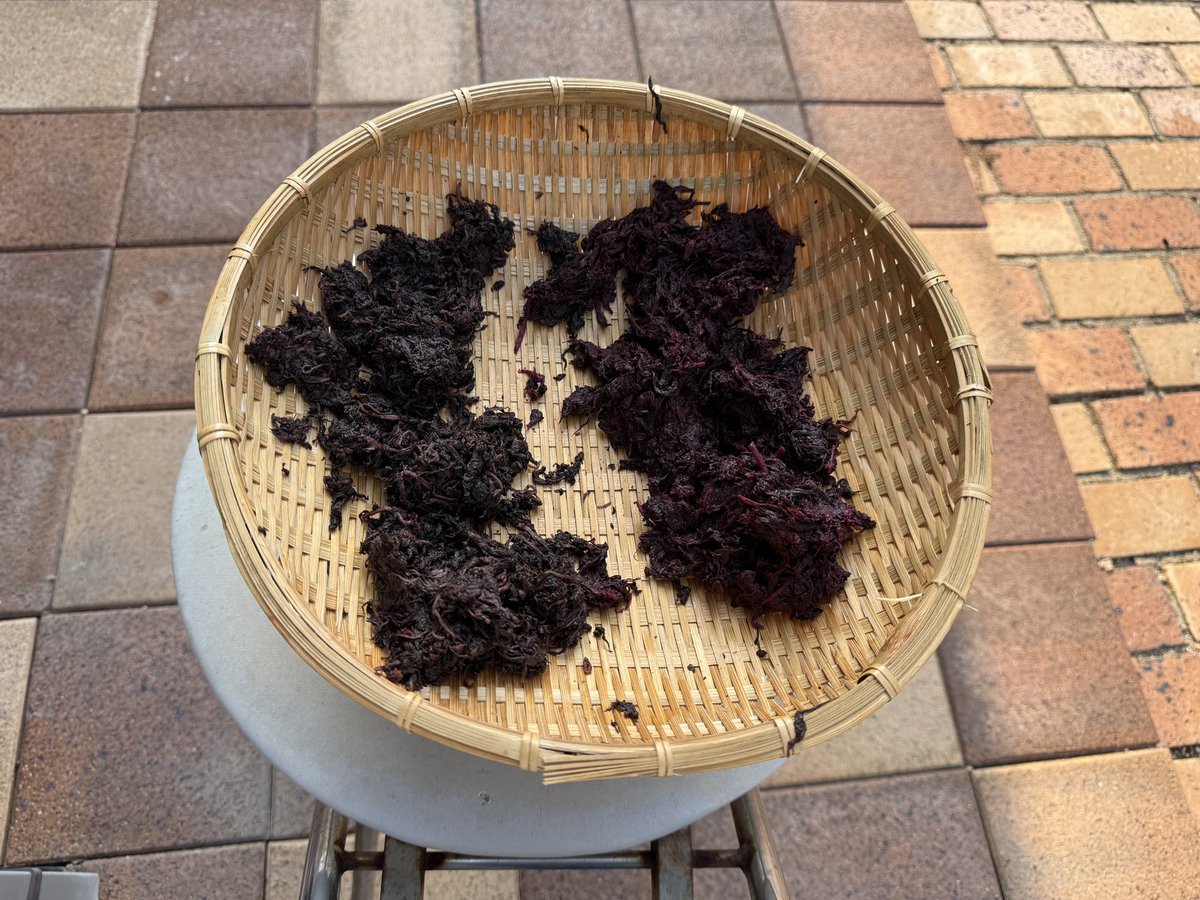 sarasara06262's tweet photo. 休みの日でも早朝散歩🐶特に今は朝早く行かないと肉球が焼けちゃう😅帰って来てからの梅仕事。土用干しをスタートしました。今日から3日間干します。ちなみに土用干しをした梅は「梅干し」しない梅は「梅漬け」だそうです。おいしくなぁれ🔴 #梅干し
 #土用干し https://t.co/BLhdYRTCB0