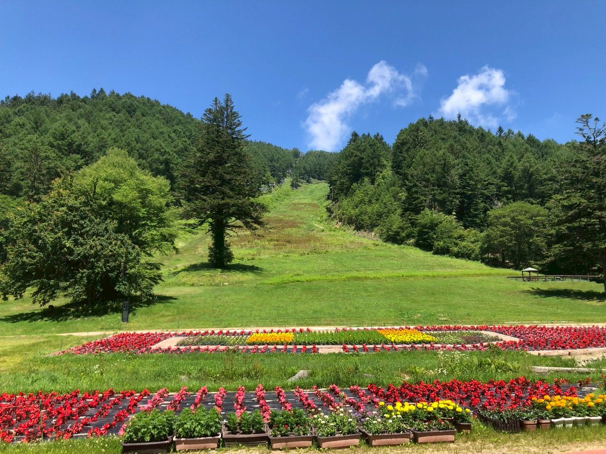 heavens_v_v's tweet photo. 今日からヘブンスそのはら夏営業が始まります！
夏から見られるこちらの花壇、「バタフライガーデン」という名前で多くの蝶が集まるお花畑です🦋

そして今日から3日間は
「こども縁日」を開催！
景品もあるのでぜひ遊びに来てください‼️

詳細は、下記ホームページをご確認ください！

https://t.co/FgDUlpiYIh