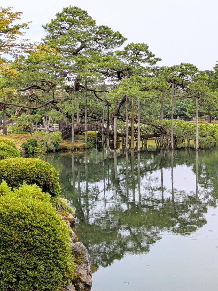 KUROSAN8's tweet photo. 6/20(土)　北陸ツアー２日目は金沢市内観光

まずは #兼六園 と #金沢城公園 へ https://t.co/iFbI22JTu5