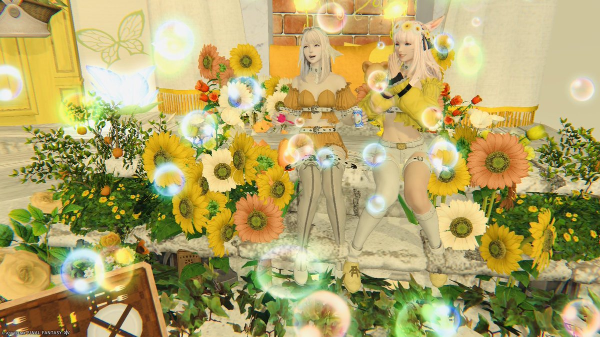 ngtrkue's tweet photo. 🌻🌼🫧 https://t.co/2SyQJpMc6Y