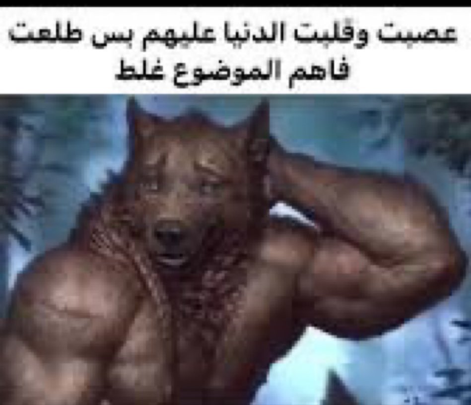 tryotocom tweet picture