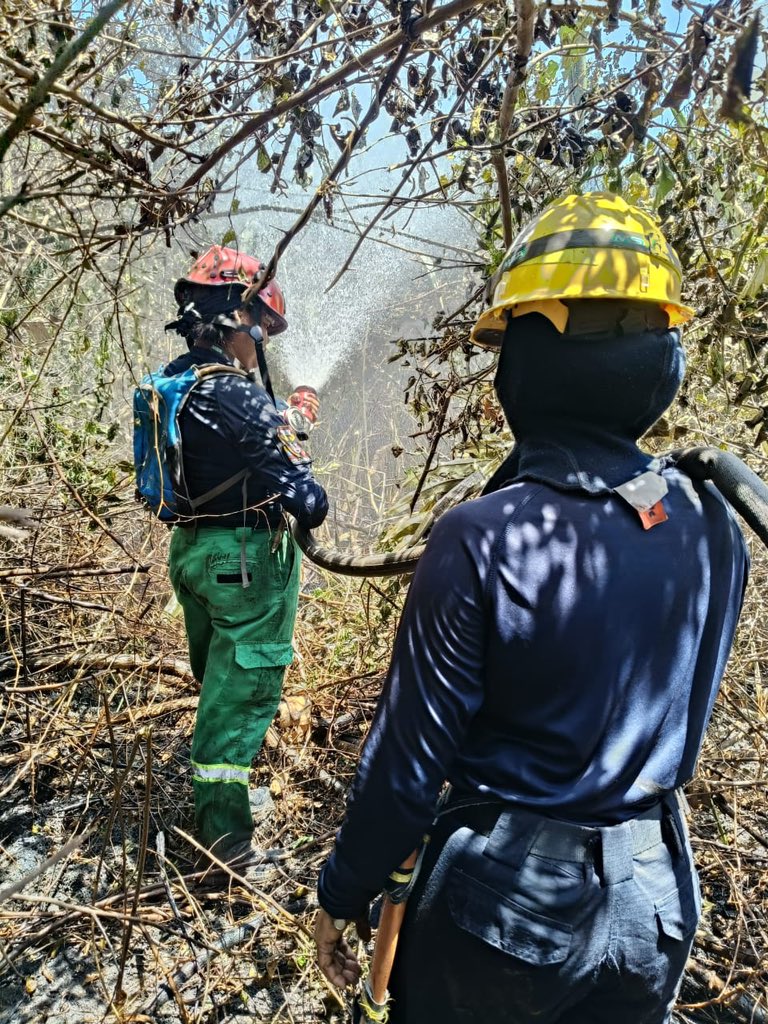 MagdalenaGober's tweet photo. Gracias a la articulación entre la Gobernación del Magdalena, @ParquesColombia, los brigadistas del Parque Vía Isla Salamanca, la Alcaldía y la Personería de Sitio Nuevo, el Cuerpo de Bomberos de Sitio Nuevo, la @UNGRD, la @FuerzaAereaCol, el @COL_EJERCITO, la @ArmadaColombia y… https://t.co/Mji3naLJ31