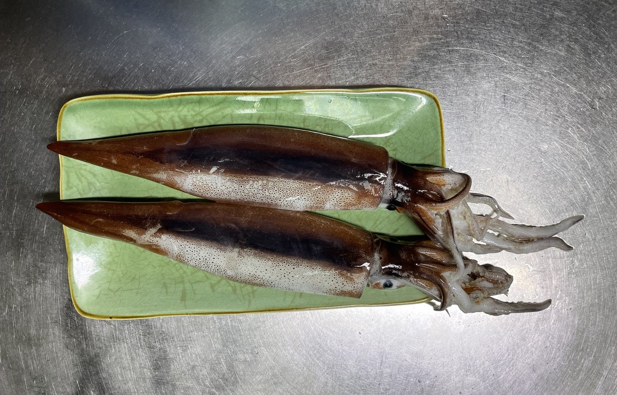 tomiko_ohdate's tweet photo. 7/18うみねこ朝市
���イカ１パイ200円 胴体部分 約19㌢ 早速捌いて 久々のイカ刺し。私は耳も好き🌝ゲソはさっと茹でて 酢味噌で食べよ
もも70円 1個約170㌘
夕顔の季節 その場でカット 唐辛子付けてくれる #八戸 #うみねこ朝市 #江陽 #マイカ #イカ刺し #エンペラ #桃 #夕顔 https://t.co/1WjRhCxHAg