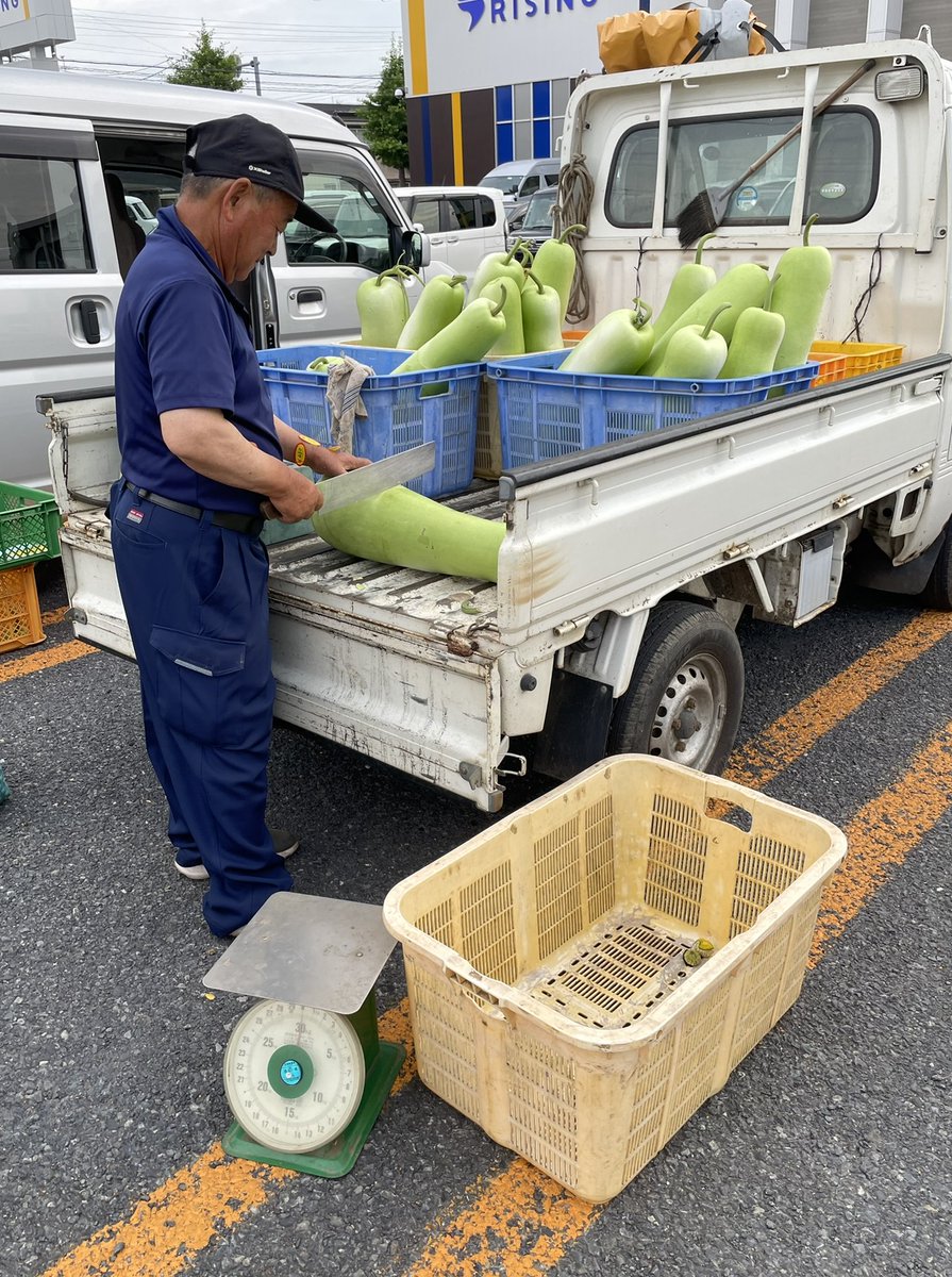 tomiko_ohdate's tweet photo. 7/18うみねこ朝市
���イカ１パイ200円 胴体部分 約19㌢ 早速捌いて 久々のイカ刺し。私は耳も好き🌝ゲソはさっと茹でて 酢味噌で食べよ
もも70円 1個約170㌘
夕顔の季節 その場でカット 唐辛子付けてくれる #八戸 #うみねこ朝市 #江陽 #マイカ #イカ刺し #エンペラ #桃 #夕顔 https://t.co/1WjRhCxHAg
