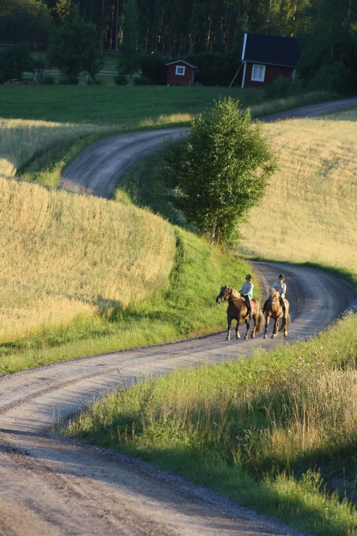 purelivn's tweet photo. Finland countryside https://t.co/ds2m0TyxPA