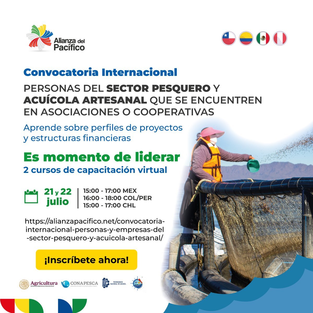 A_delPacifico's tweet photo. ¡Atención sector pesquero y acuícola artesanal! 🐟🌊

Participa en dos capacitaciones especialmente dirigidas a empresas y aprende a diseñar proyectos más sólidos y sostenibles.

🚀 ¿Qué descubrirás?
✔️ Cómo elaborar un perfil de proyecto paso a paso.
✔️ Cómo definir objetivos, metas y un plan de trabajo claro.
✔️Cómo fortalecer las finanzas de tu proyecto con herramientas prácticas para elaborar flujos de caja, identificar costos y evaluar los aportes de tu organización.

📅 21 y 22 de julio

¡Inscríbete y lleva tus proyectos al siguiente nivel!

Formulario de registro: https://t.co/tgM2stGVpe