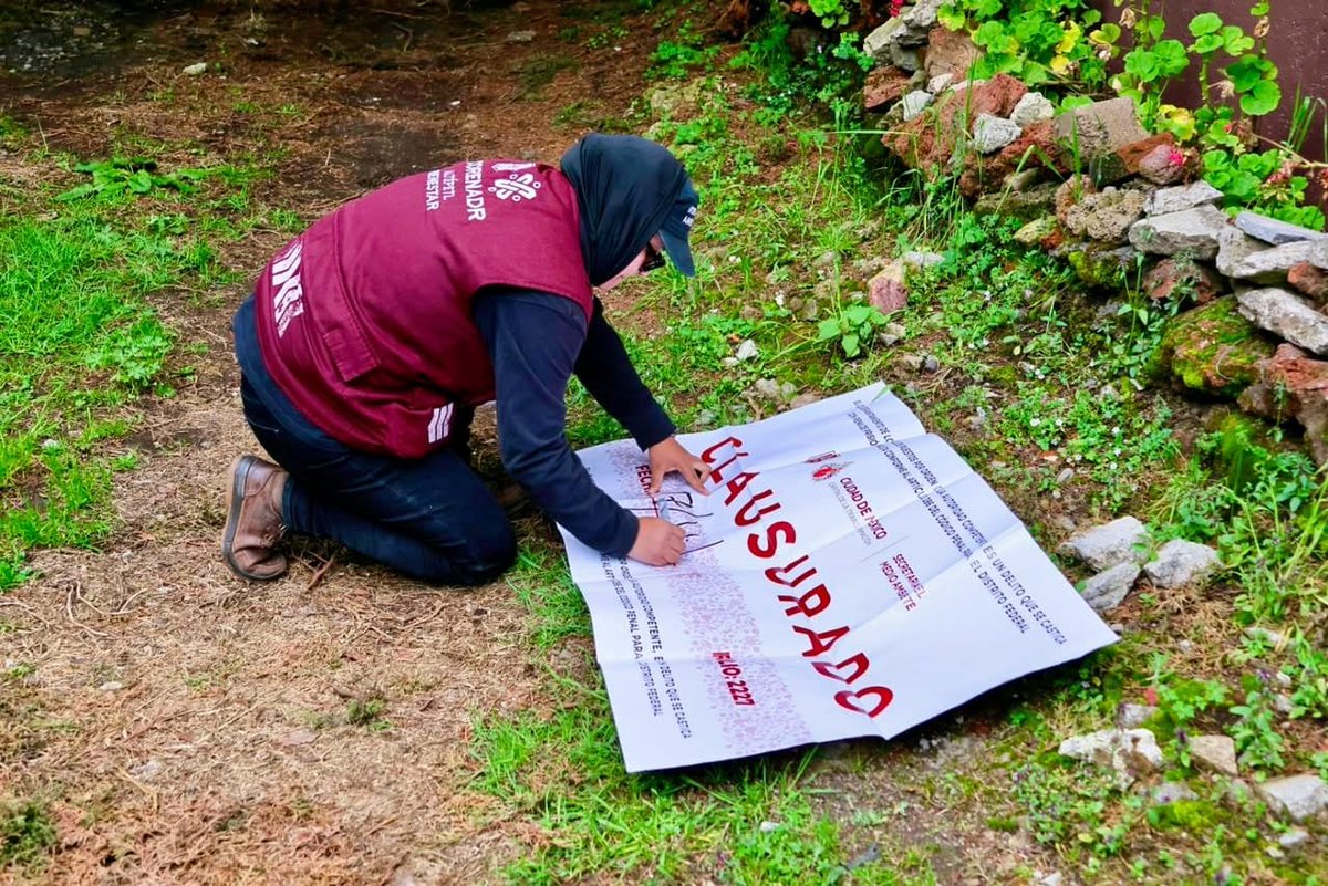 TlalpanAl's tweet photo. Proteger nuestros bosques es proteger Tlalpan. 🌳💚
Por instrucciones de nuestra alcaldesa, @Gabyosoriohdz, seguimos reforzando la protección del Suelo de Conservación. En coordinación con la @GN_MEXICO_, @corenadr y @PROFEPA_Mx , participamos en la clausura de un cambio ilegal de uso de suelo en el rancho Los Tres Vientos.

Porque cuidar nuestros bosques es cuidar el agua, el medio ambiente y el futuro de Tlalpan. ✅

#NuestraCasaSeTransforma #Tlalpan #24Siete #SueloDeConservación