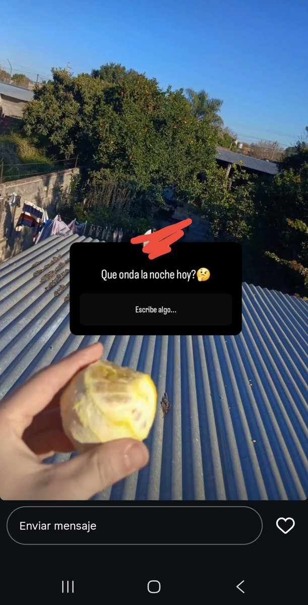 aaabbr1l's tweet photo. dios uno q conozco subió esta foto
q hacia comiendo un limón en el techo https://t.co/849bxBwpi0