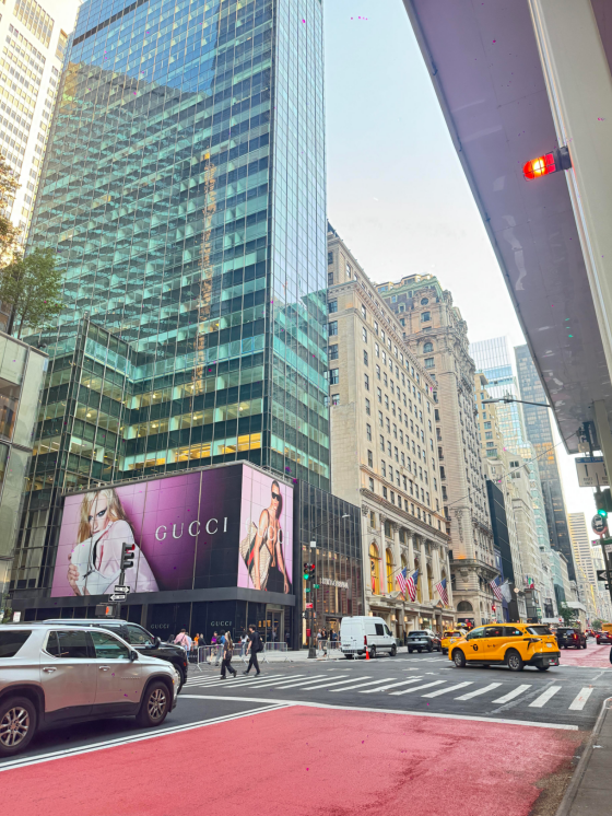 __Kedia's tweet photo. On Fifth Avenue in New York you need to make an appointment and wait in line to try on watches but theres no line when it comes to paying New York is truly a city thats both frustrating and beautiful https://t.co/2TqZHbTh65