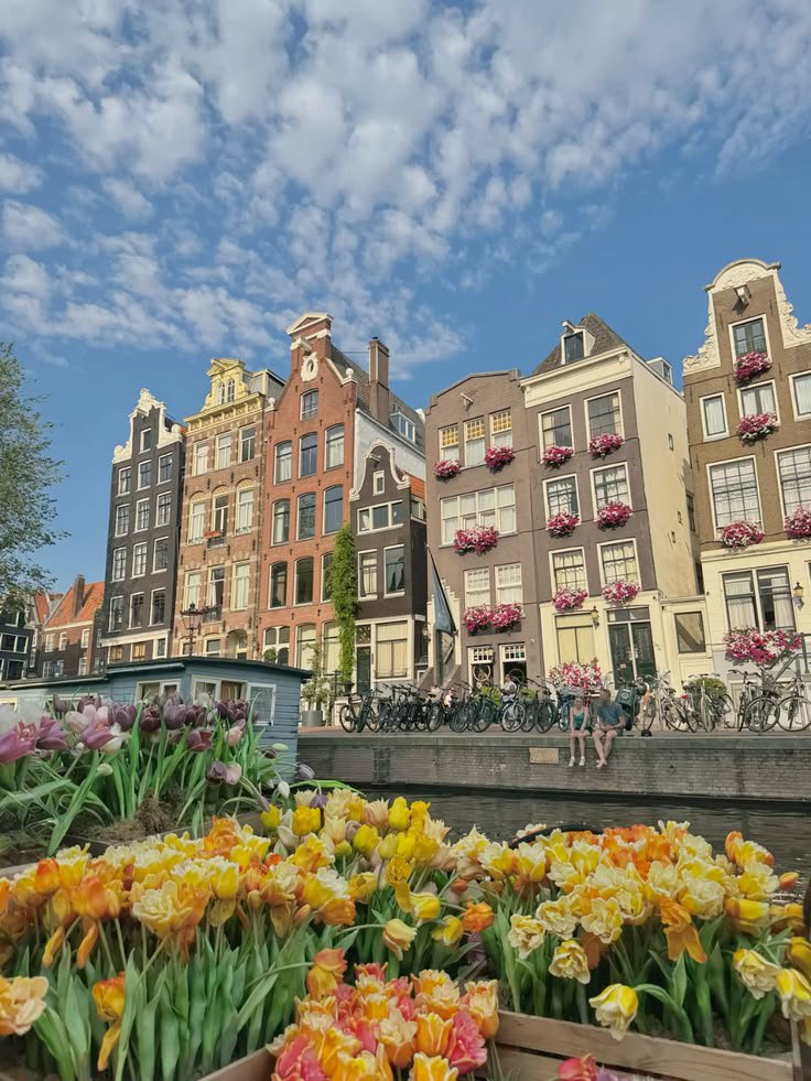 _travel__vibes's tweet photo. Amsterdam, Netherlands 🇳🇱 https://t.co/BU0OIVB9f1