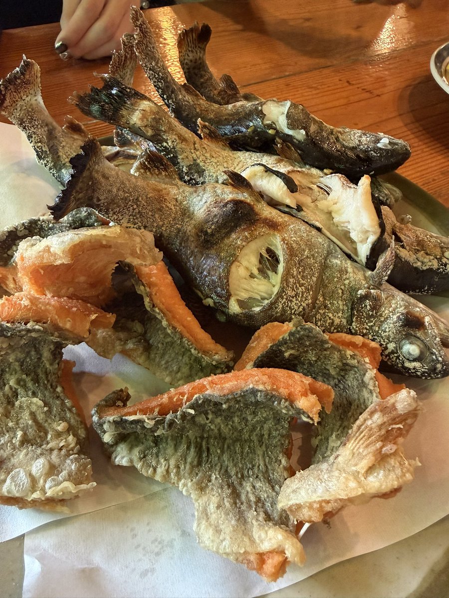 yka_mm_'s tweet photo. マス釣り来たヽ(*'▽'*)ﾉ https://t.co/CPTvRH2p58