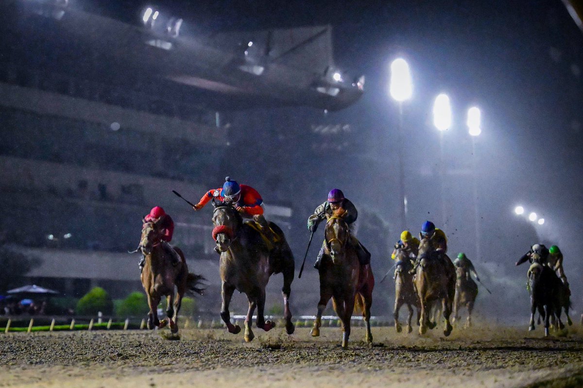 hipodromomex's tweet photo. Ya falta muy poco para el Handicap de Las Américas, la carrera más importante del calendario hípico pura sangre, ¿Para ti, qué caballos te gustaría ver en el enfrentamiento del próximo 19 de septiembre?
¿Ya tienes a un favorito?
Te leemos en los comentarios.
#hipodromo https://t.co/4PwTUyhnPx