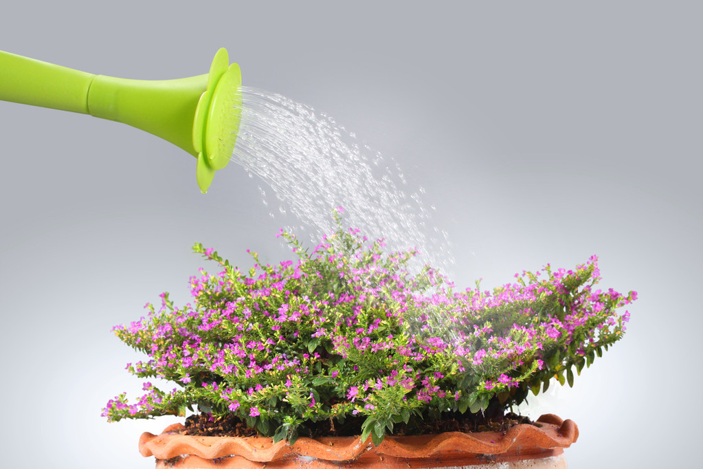 hide56626's tweet photo. These small changes in my daily life made this month way warmer than last. Waking up 10 mins earlier to make toast with jam, watering the potted herbs on the windowsill and calling my mom every weekend hit different. ， https://t.co/cWEQmyL9YM
