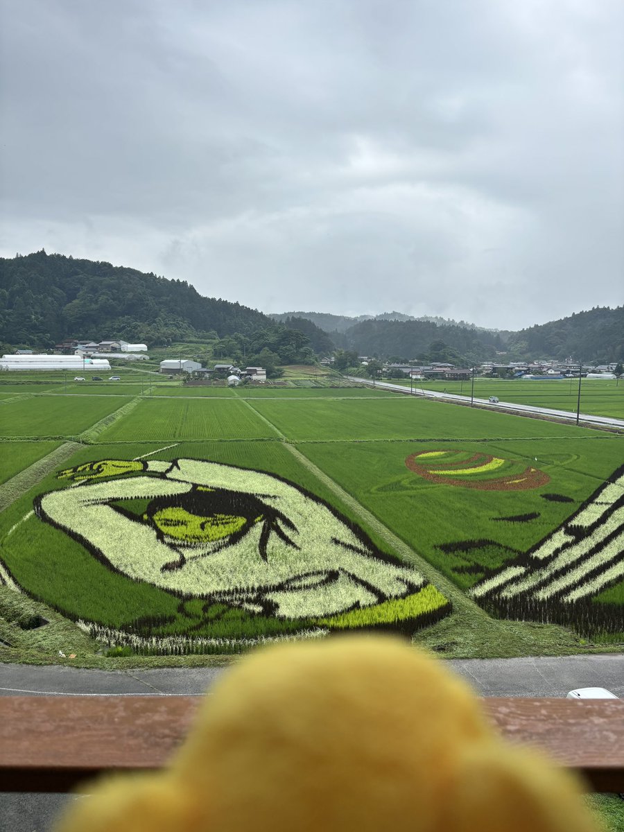 It began to rain when I arrived at the field🌧️But it is still